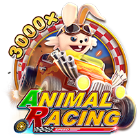 Animal Racing