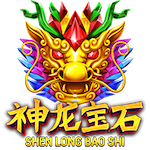 Shen Long Bao Shi