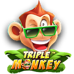 Triple Monkey