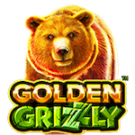 Golden Grizzly